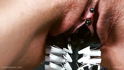 Careca irmãos foda uma incrível sexo grátis romântico morena